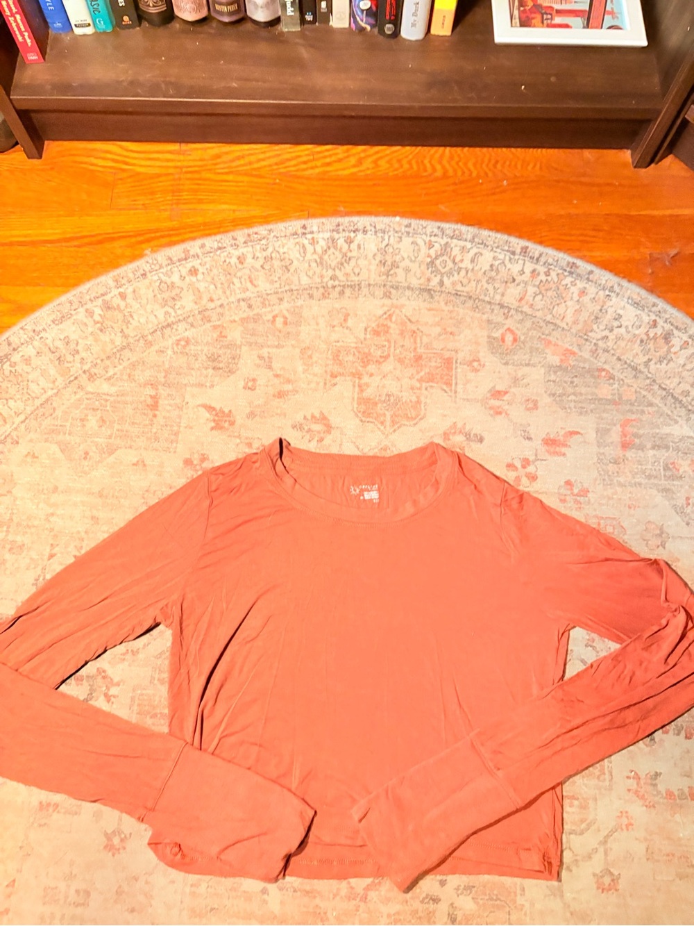 aerie Long-Sleeve Scoop Neck Top in Rust